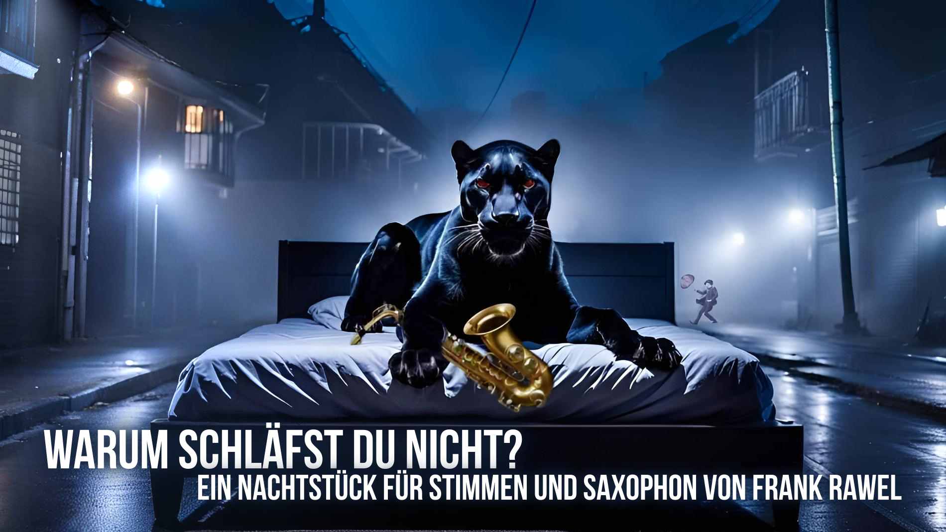 cover: warum schläfst du nicht, zeigt einen schwarzen Hund auf einem Bett