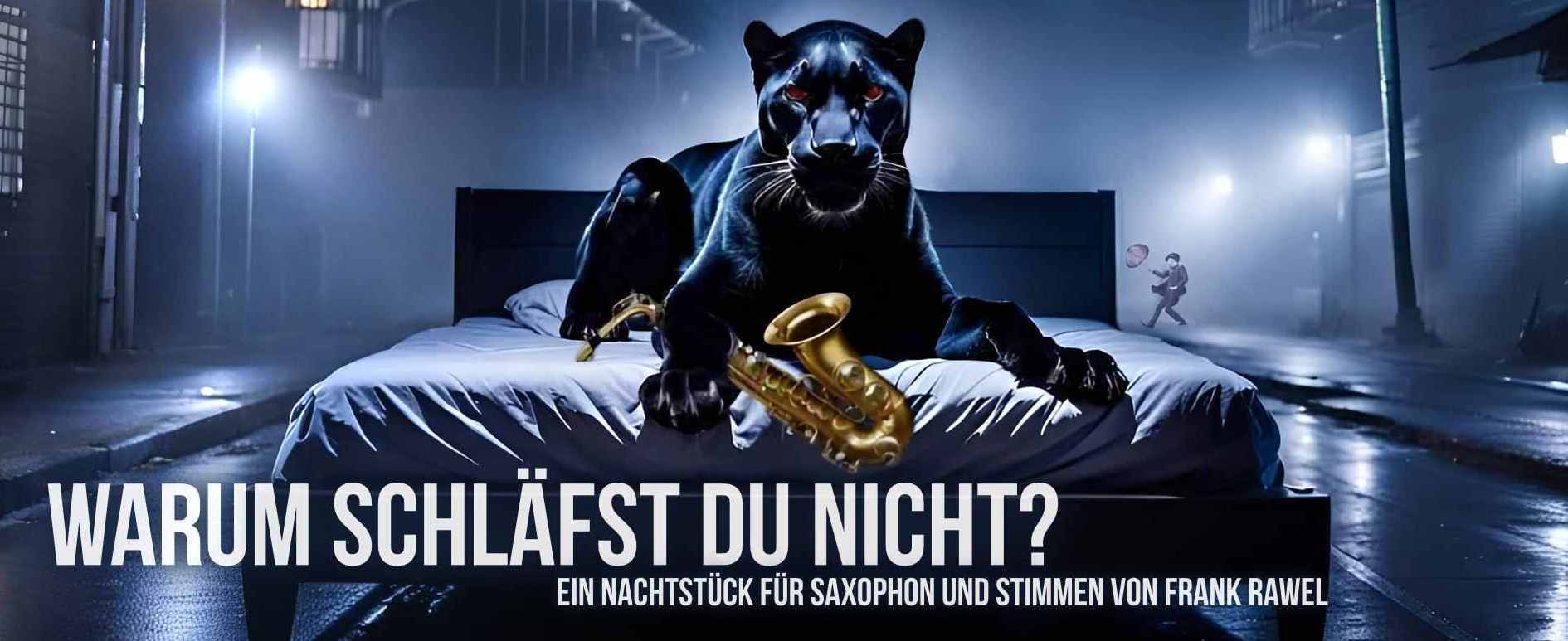 cover: warum schläfst du nicht, zeigt einen schwarzen Hund auf einem Bett